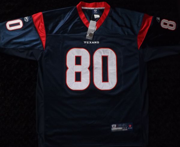 ANDRE JOHNSON SIGNED ON FIELD TEXANS JERSEY